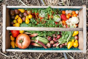 Urban Gardening
